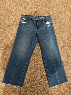 American Eagle women’s jeans size 16 regular